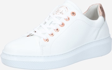 BULLBOXER - Zapatillas deportivas bajas en blanco: frente