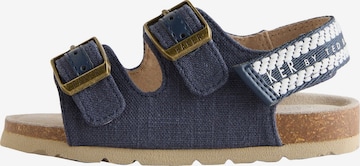 Baker by Ted Baker Avonaiset kengät värissä sininen: etupuoli