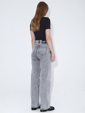 Dr. Denim Regular Jeans 'Echo High Straight' in Grey