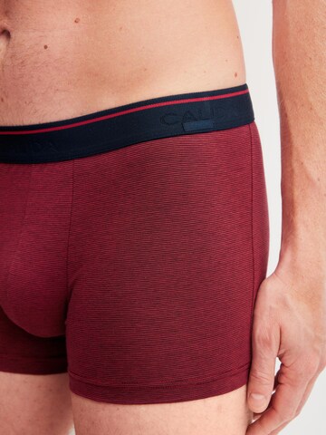 CALIDA Boxer shorts 'Cotton Stretch' in Purple