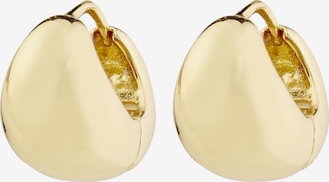 Pilgrim Øreringe ' Jua ' i guld: forside