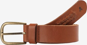 Scalpers Belt 'New Archer' in Brown: front
