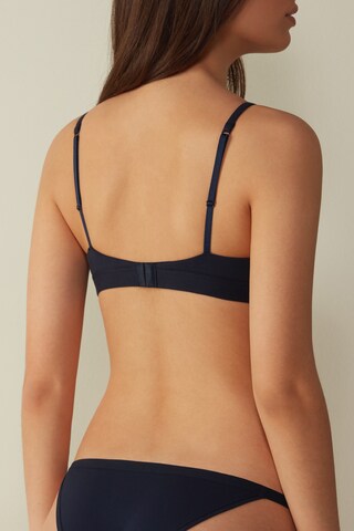 INTIMISSIMI Triangle Bra in Blue