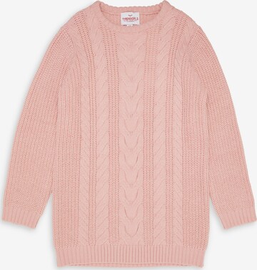 Threadgirls Jurk 'Thistle' in Roze: voorkant