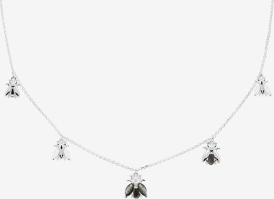 P D PAOLA Kette in silber, Produktansicht