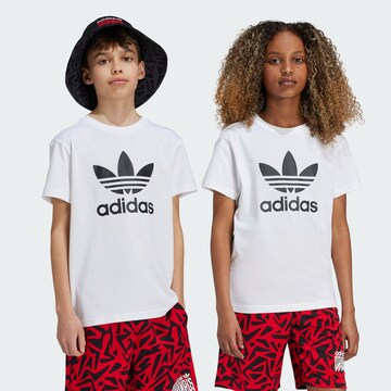ADIDAS ORIGINALS T-shirt 'Trefoil' i vit: framsida