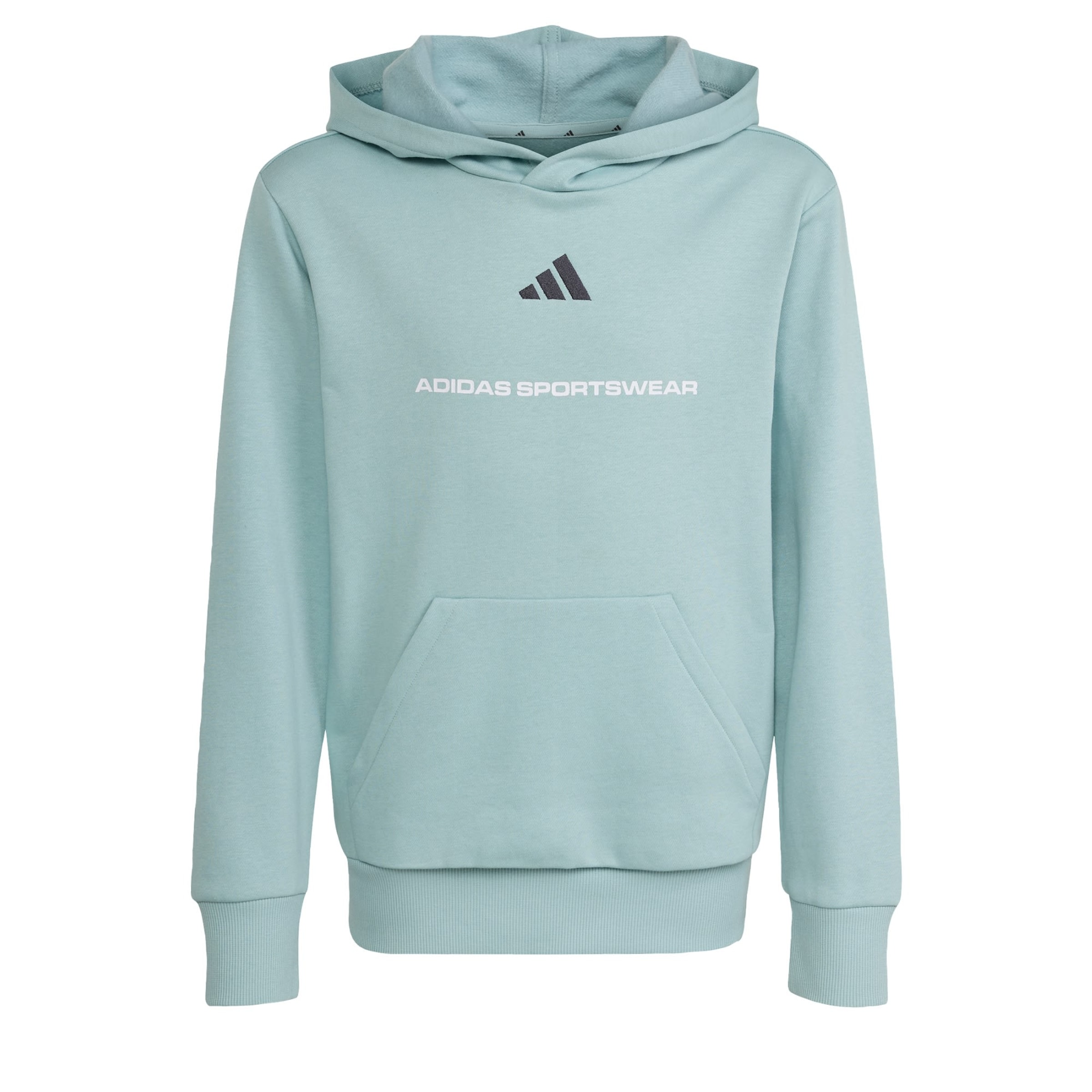 ADIDAS SPORTSWEAR - Sudadera en verde: frente