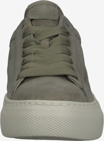 GABOR Sneakers laag in Groen