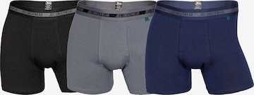 JBS OF DENMARK Regular Boxershorts 'Bamboo' in Gemengde kleuren