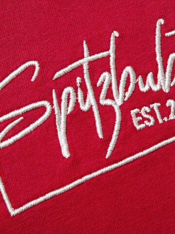 SPITZBUB Shirt 'Heiko' in Red