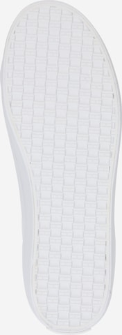 Baskets basses 'ESSENTIAL' TOMMY HILFIGER en blanc