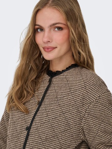 Jaqueline de Yong Tussenjas 'Emery' in Bruin