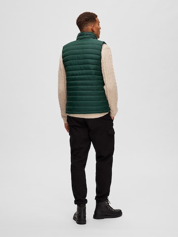 SELECTED HOMME Vest 'TANG' in Green