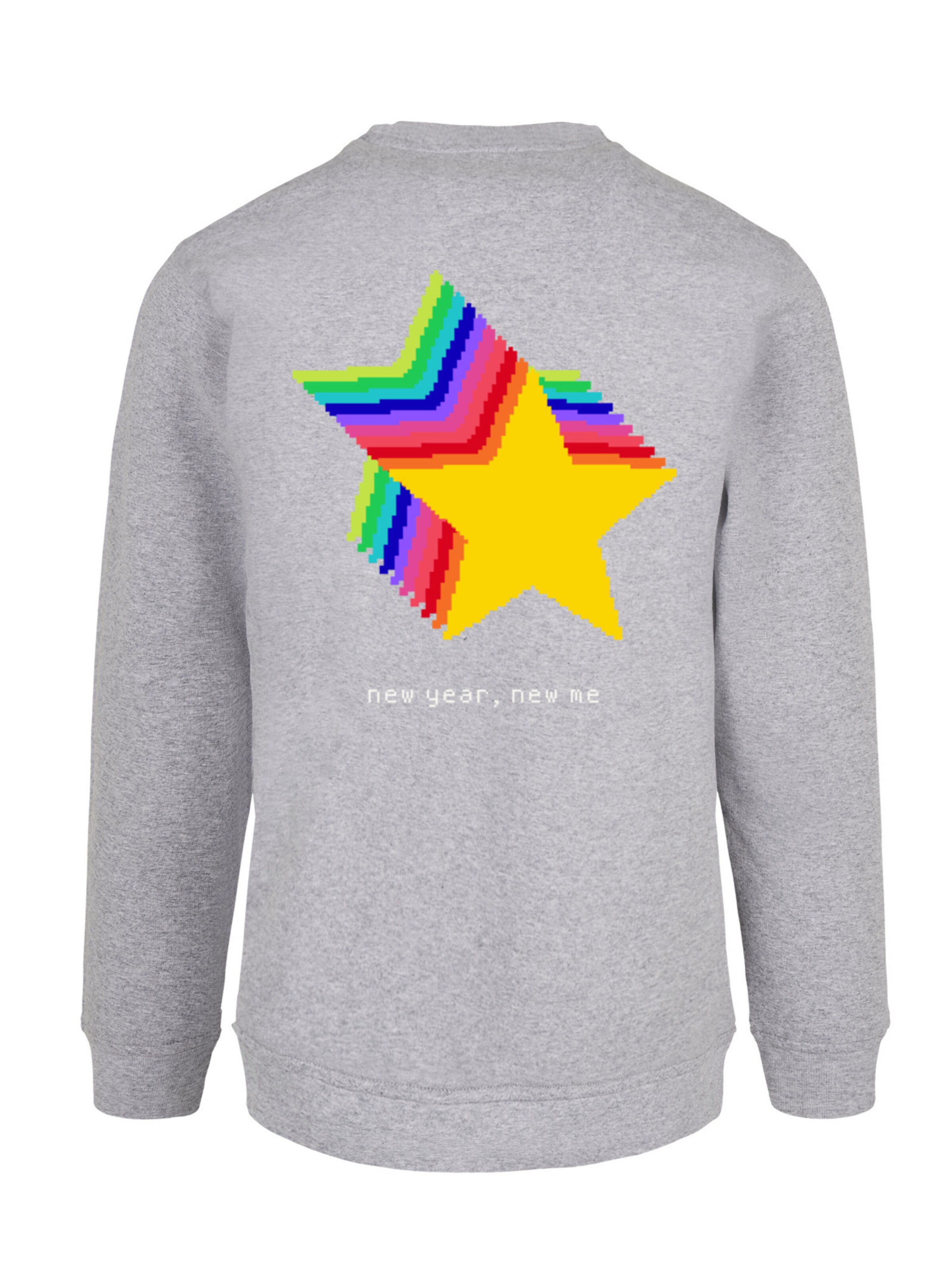F4NT4STIC Sweatshirt in Grau