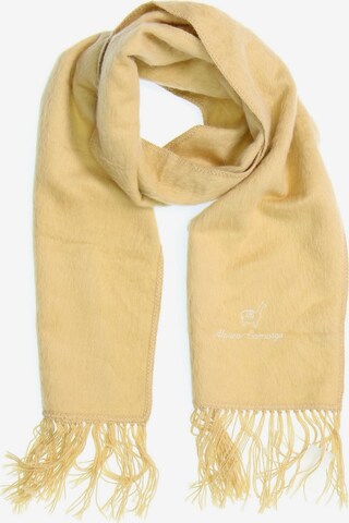 Alpaca Carmargo Scarf & Wrap in One size in Beige: front