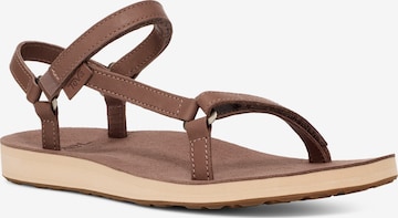 TEVA Sandale in Braun: Vorderseite