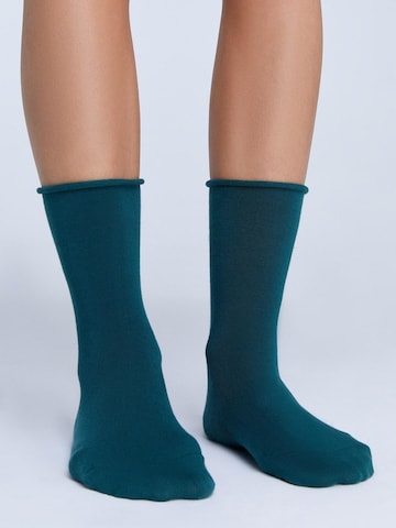 Albero Natur Socks 'Bio-Baumwoll-Socken mit Rollrand Unisex – 6er Pack' in Green