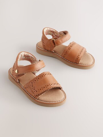 Next Sandals in Brown
