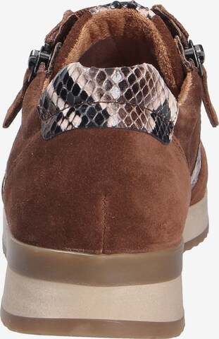 GABOR Lace-Up Shoes in Brown