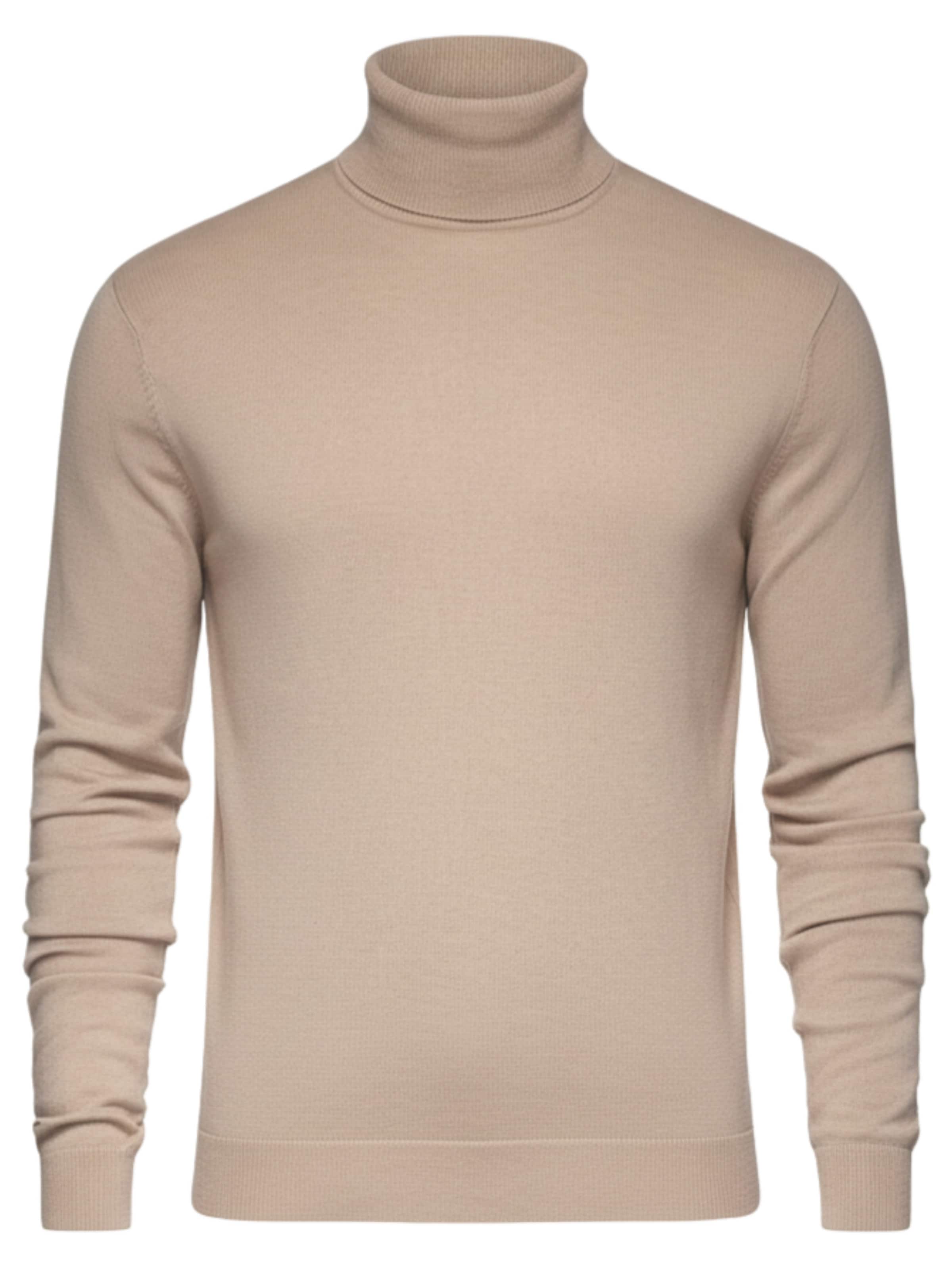 Ombre Sweater 'OM-SWTN-0101' in Dark beige, Item view