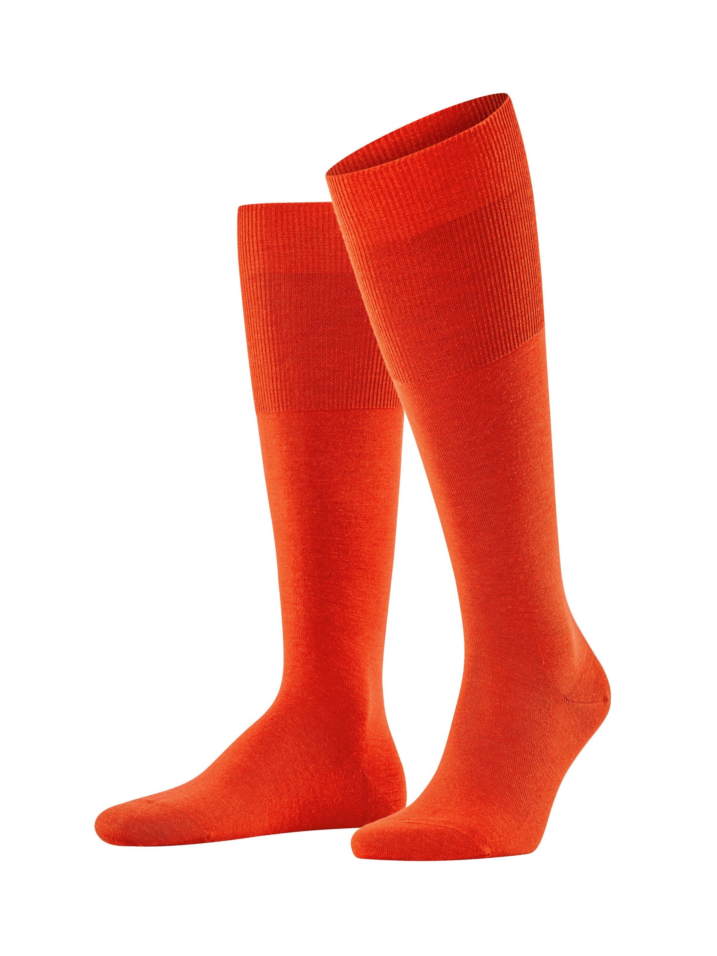 FALKE Knee High Socks 'Airport' in Red: front