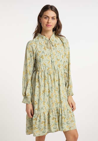 Usha Dress in Green: front