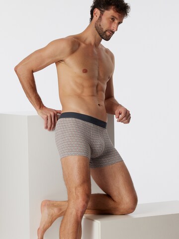 SCHIESSER Boxer shorts ' 95/5 Organic Cotton ' in Black