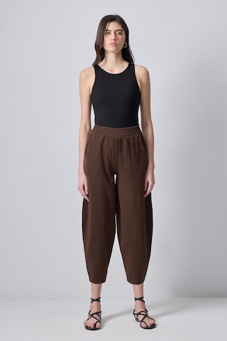 Touche Prive Tapered Hose in Braun