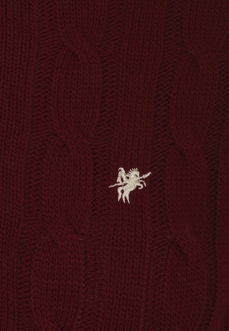 DENIM CULTURE Sweater 'KATARINA' in Red