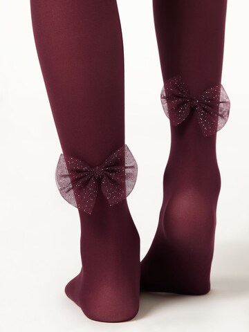 CALZEDONIA Tights in Red