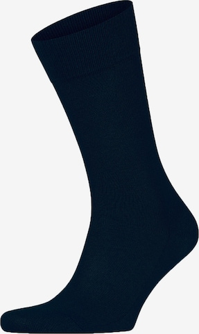 FALKE Socks in Blue