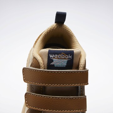 Reebok Sneakers in Brown