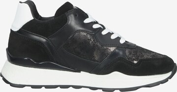 BULLBOXER Sneaker in Schwarz