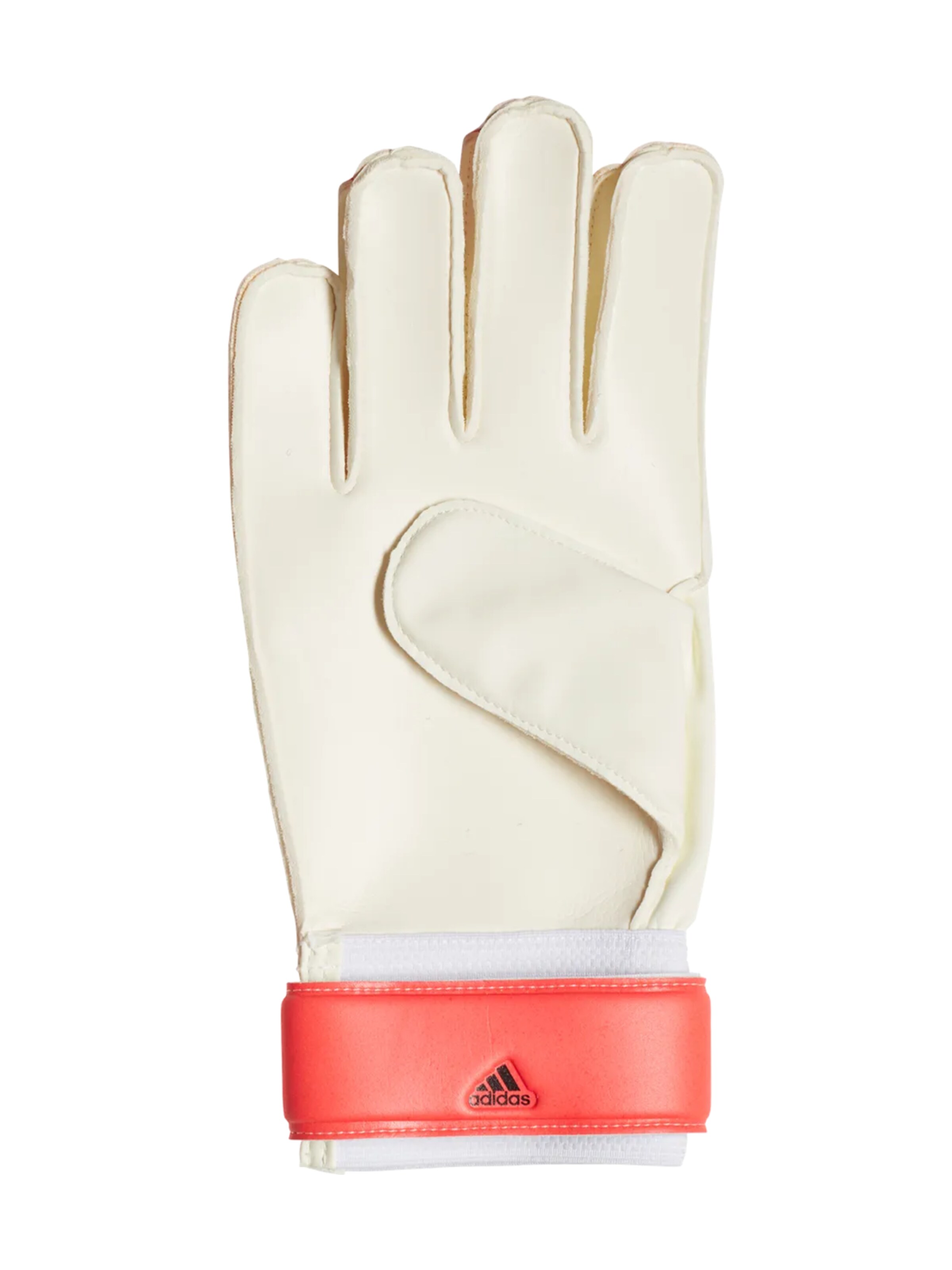 ADIDAS PERFORMANCE Sporthandschuhe 'Predator TRN'‌‌‌‌‌ in Weiß