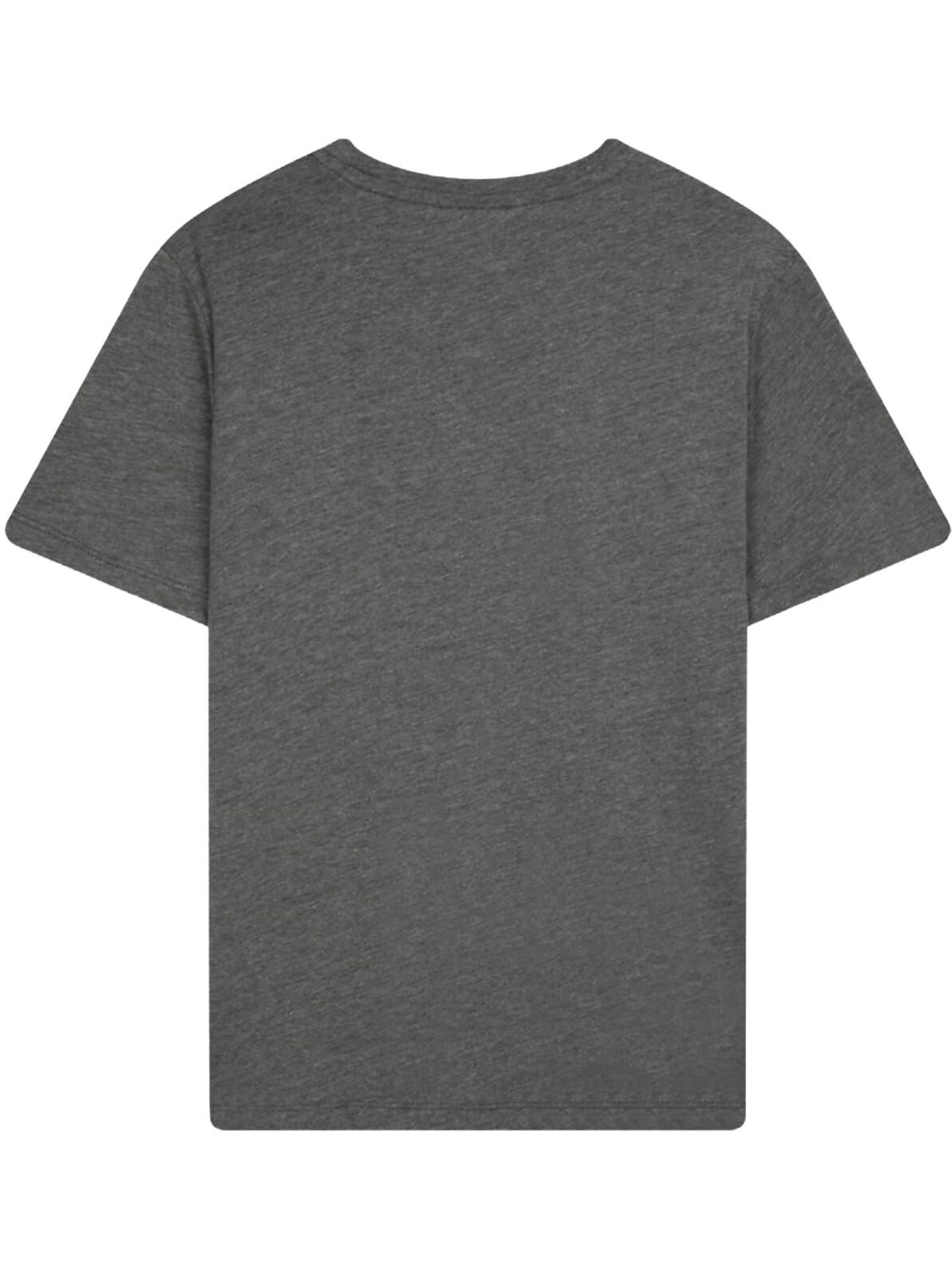 LTB Jeans Shirt 'LTB Jeans Damen Basic T-Shirt'‌‌‌‌‌‌ in Grau