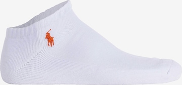 Polo Ralph Lauren Sokken in Wit