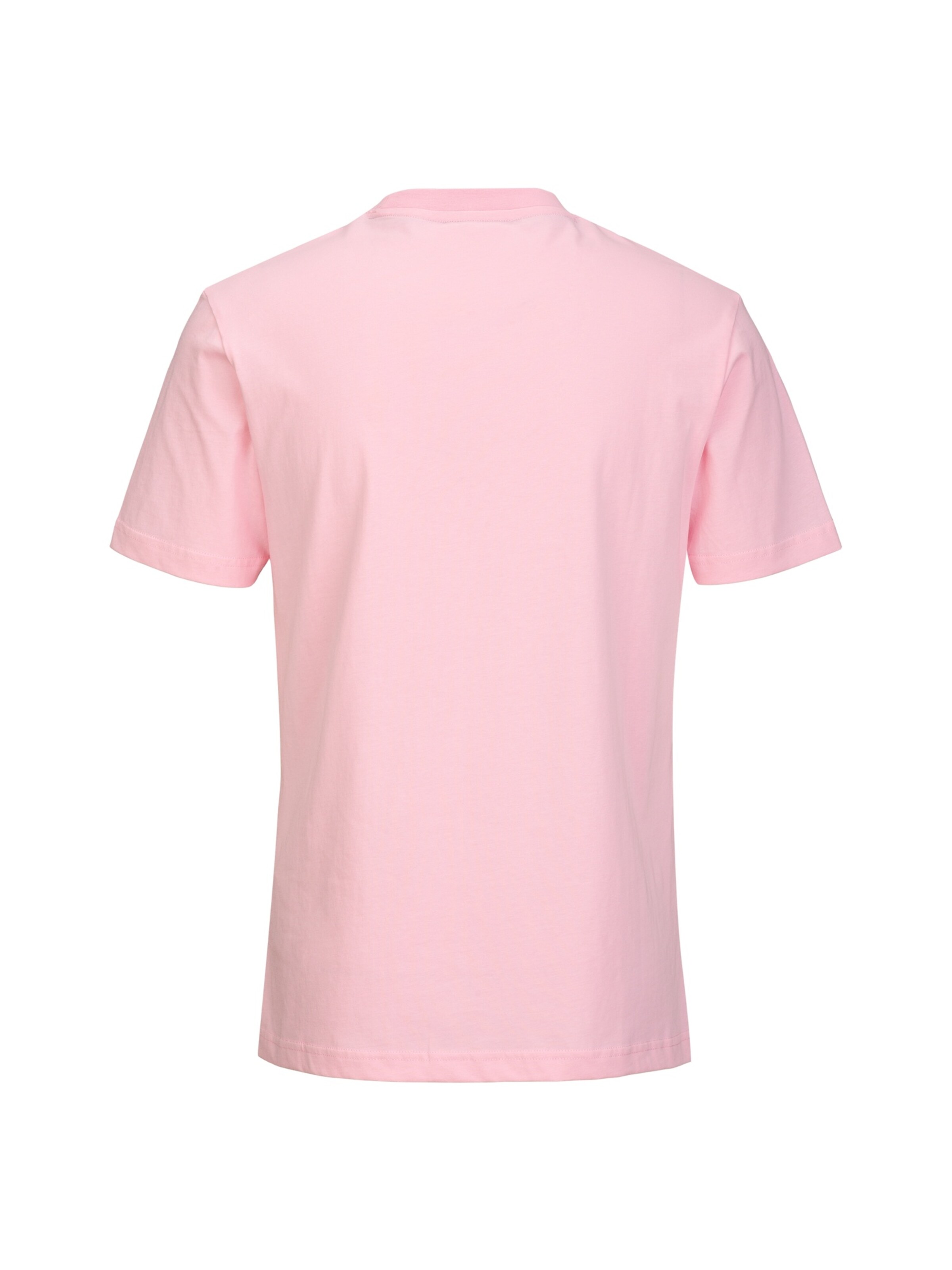 19V69 ITALIA T-Shirt 'RAFAEL ITALIAN TEDDY' in Rot