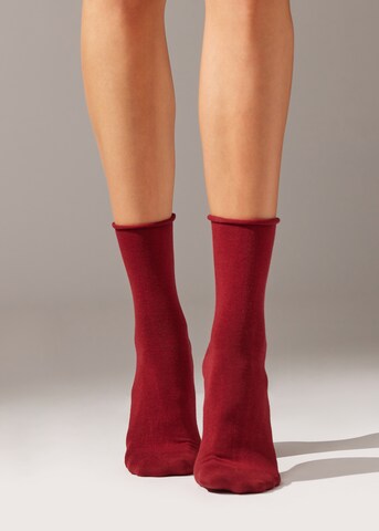 CALZEDONIA Socken in Rot: predná strana
