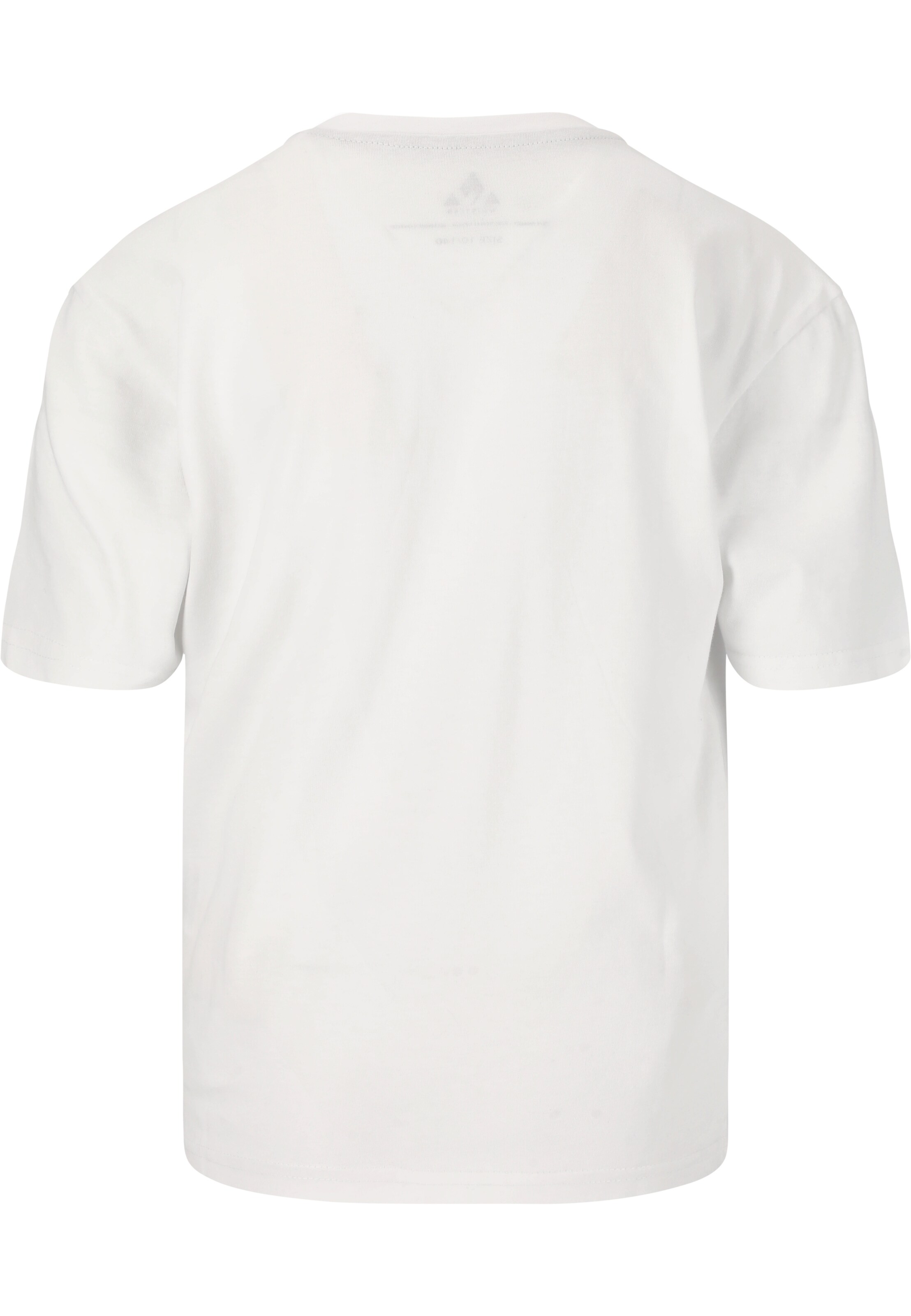 Whistler T-Shirt 'Hitch' in Weiß