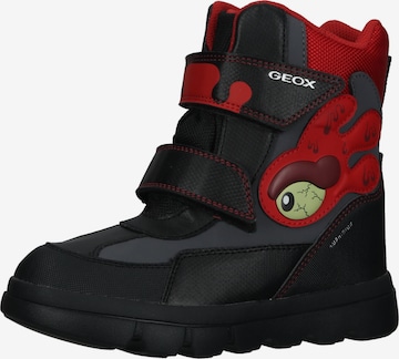 GEOX Boots in Black: front