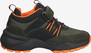 GEOX Sneaker in Grün