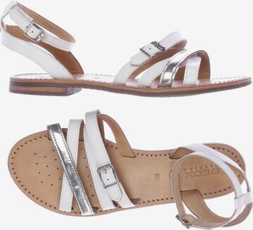 GEOX Sandals & High-Heeled Sandals in 36 in White: front