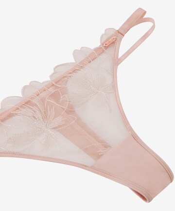 Hunkemöller String 'Sher' in Lila