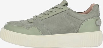 Crickit Sneakers 'MAURA' in Green