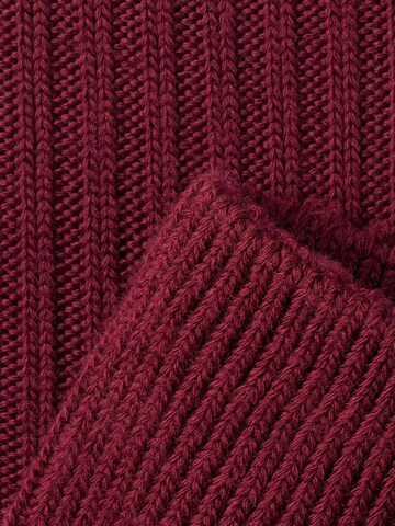 Von Jungfeld Socks 'Merino' in Red