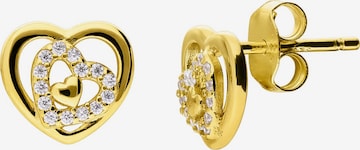 Lucardi Earrings in Gold: front