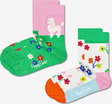 Happy Socks Socken 'Poodle and Flowers' in Mischfarben: predná strana