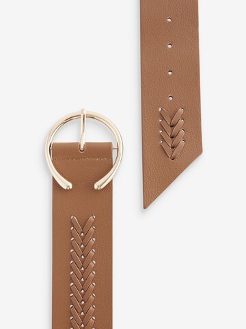 Next Belt in Brown