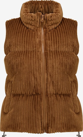 Manteau d’hiver Deeluxe en marron : devant