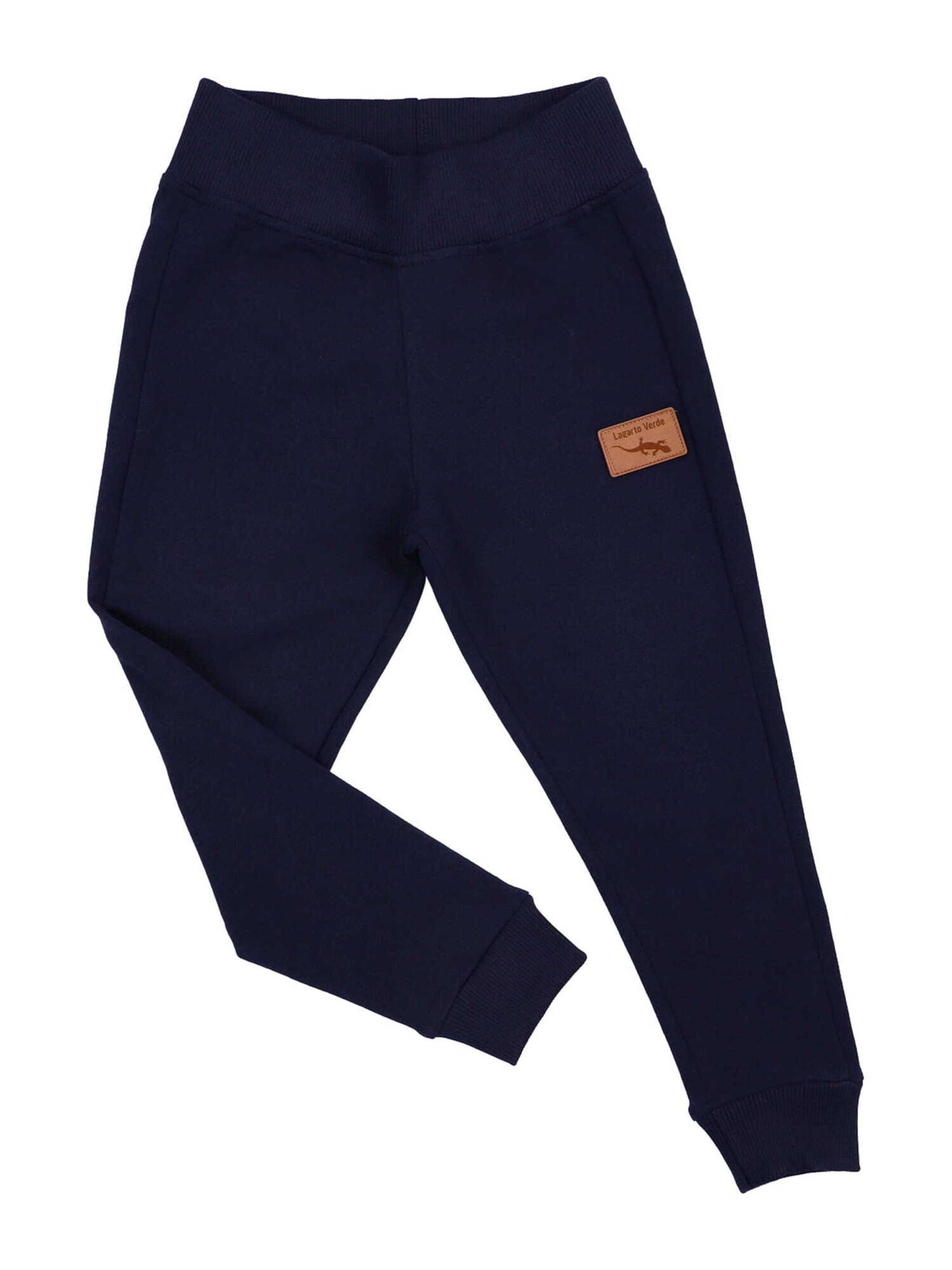 Lagarto Verde Regular Workout Pants in Blue